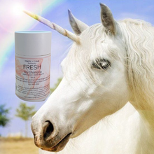Load image into Gallery viewer, Wholesale - FRESH - Natural Dry Shampoo