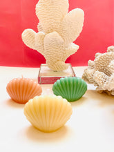 Load image into Gallery viewer, Seashell Beeswax Candles - 3 Pack