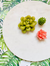 Load image into Gallery viewer, Succulent Tea Light Beeswax Candles - 3 Pack
