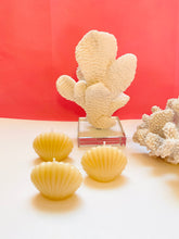 Load image into Gallery viewer, Seashell Beeswax Candles - 3 Pack