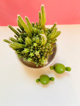 Load image into Gallery viewer, Cactus Beeswax Candles - 2 Pack