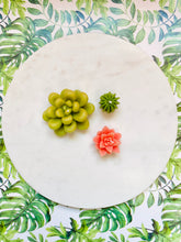 Load image into Gallery viewer, Succulent Tea Light Beeswax Candles - 3 Pack