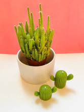 Load image into Gallery viewer, Cactus Beeswax Candles - 2 Pack