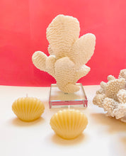 Load image into Gallery viewer, Seashell Beeswax Candles - 3 Pack