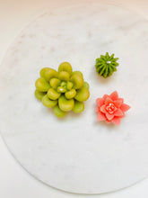 Load image into Gallery viewer, Succulent Tea Light Beeswax Candles - 3 Pack