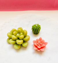 Load image into Gallery viewer, Succulent Tea Light Beeswax Candles - 3 Pack