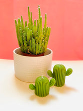 Load image into Gallery viewer, Cactus Beeswax Candles - 2 Pack