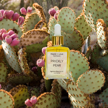 Load image into Gallery viewer, Wholesale - PRICKLY PEAR - Ageless Beauty Oil
