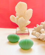 Load image into Gallery viewer, Seashell Beeswax Candles - 3 Pack
