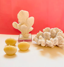 Load image into Gallery viewer, Seashell Beeswax Candles - 3 Pack
