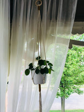 Load image into Gallery viewer, Simple Macramé Plant Hanger
