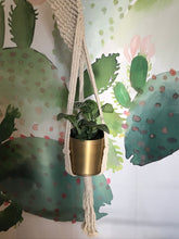 Load image into Gallery viewer, Spiral Macramé Plant Hanger
