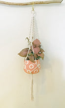 Load image into Gallery viewer, Wholesale - DIY Twist Macrame Plant Hanger Kit
