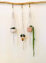Load image into Gallery viewer, Brass Succulent Macramé Plant Hanger
