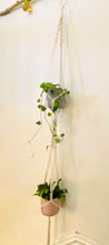 Load image into Gallery viewer, Macramé Plant Hanger
