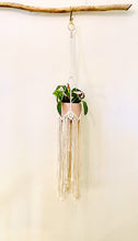 Load image into Gallery viewer, Macramé Plant Hanger
